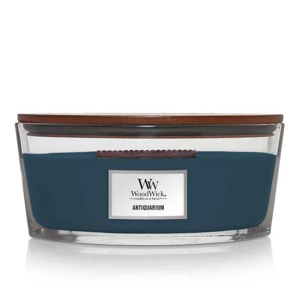 Antiquarium - Ellipse von Woodwick