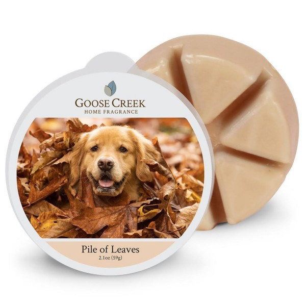 Pile of Leaves - Wax Melt von Goose Creek