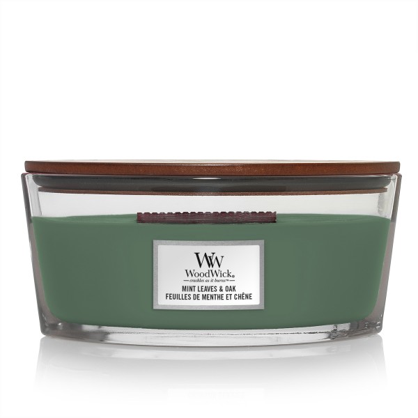 Mint Leaves & Oak - Ellipse von Woodwick
