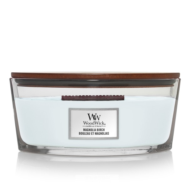 Magnolia Birch - Ellipse von Woodwick