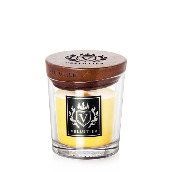 Tropical Voyage - Small von Vellutier