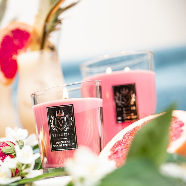 Succulent Pink Grapefruit - Large von Vellutier