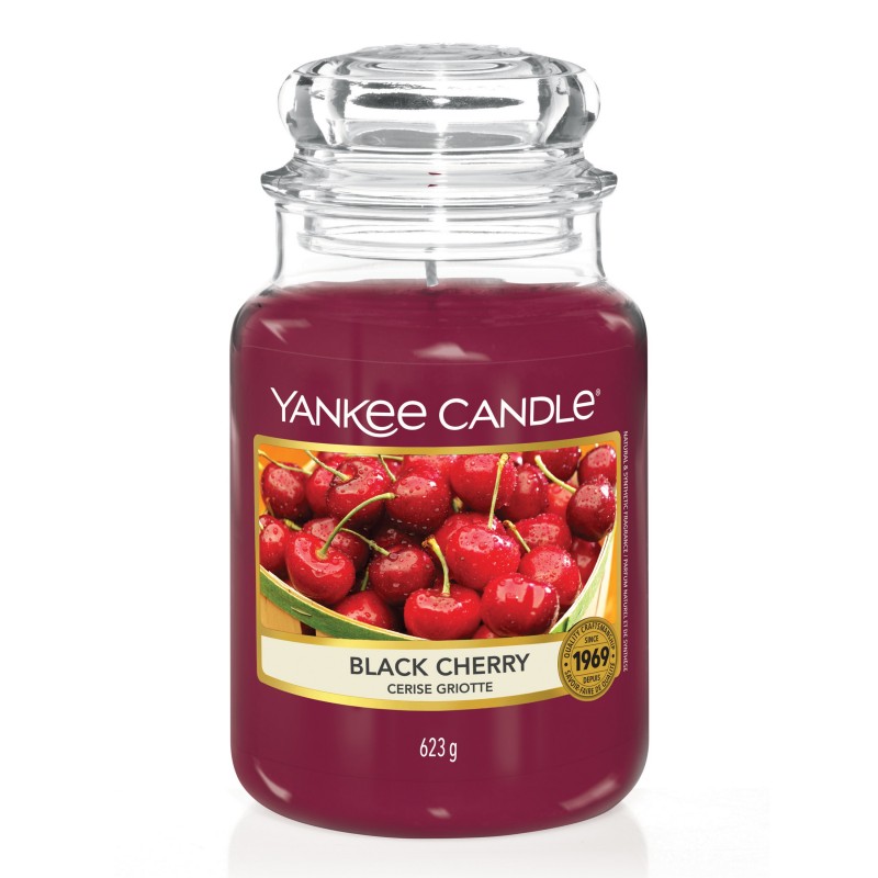 Jar Large 623g