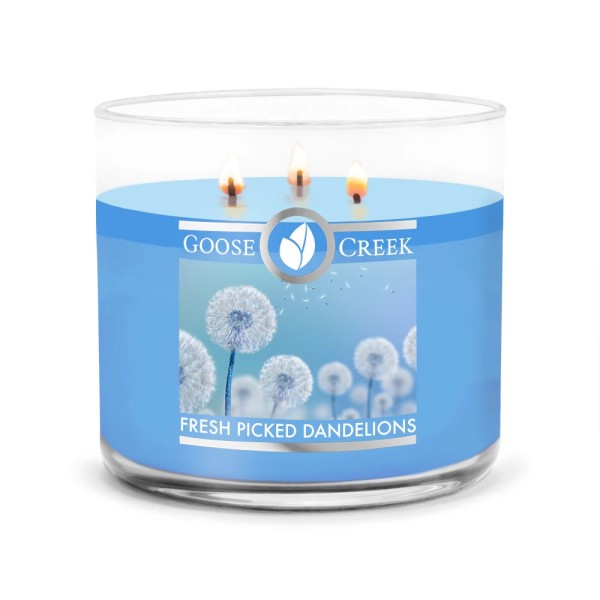Fresh Picked Dandelions - 3-Docht 411g von Goose Creek