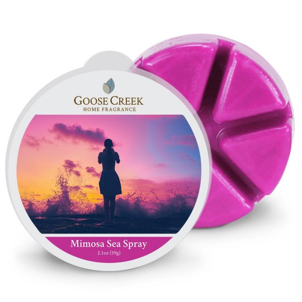 Mimosa Sea Spray - Wax Melt von Goose Creek
