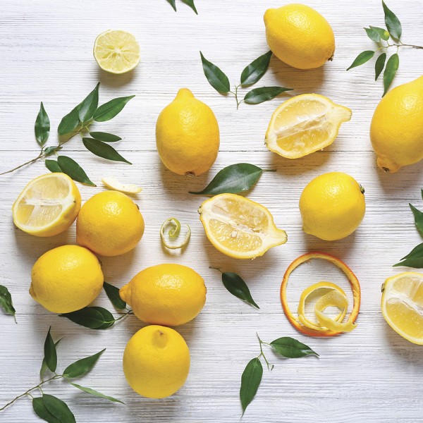 Fresh Lemon - 454g von Village Candle