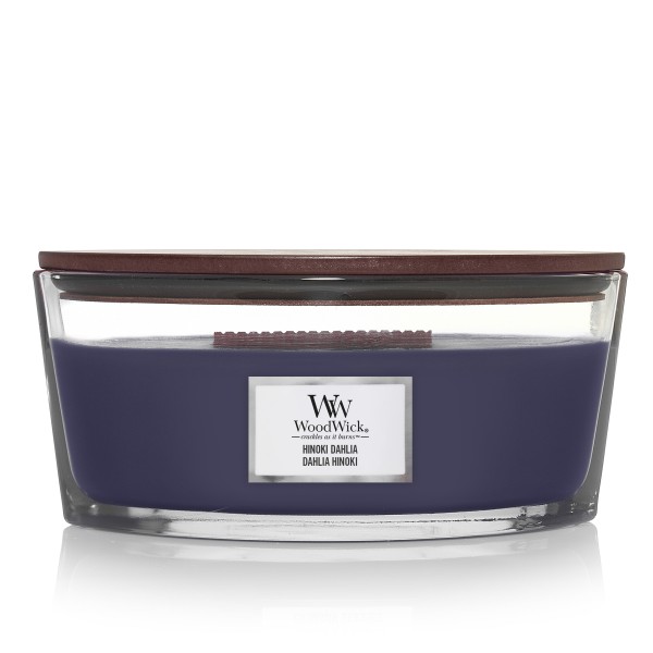 Hinoki Dahlia - Ellipse von Woodwick